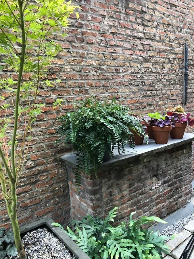 Willa Giorgio Antwerpia Dom wakacyjny
